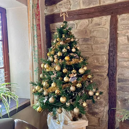 Champagne Havre De Paix Pour 4 Personnes Au Coeur De La Foret 度假居